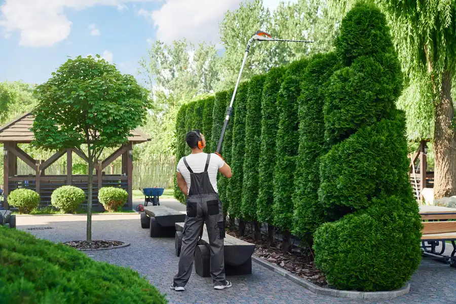 Landscape Maintenance